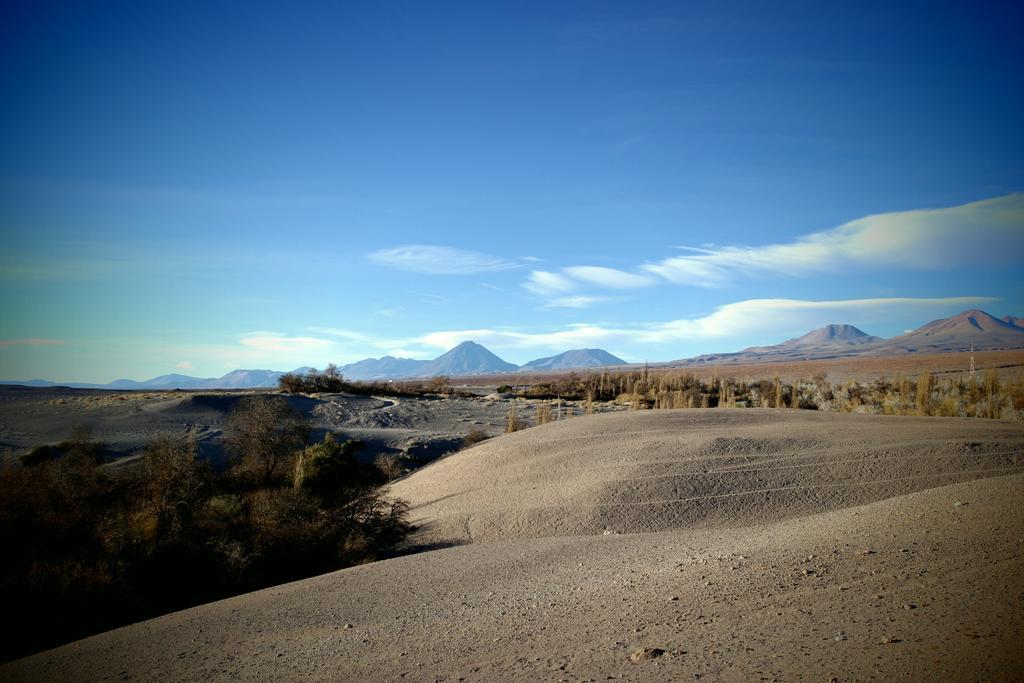 Complejo Turistico El Toconar Villa Toconao Eksteriør billede