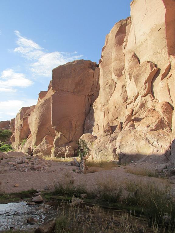 Complejo Turistico El Toconar Villa Toconao Eksteriør billede